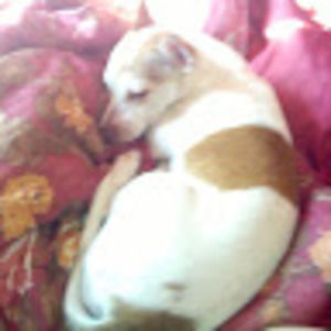 Meet your Posher, Lorrie